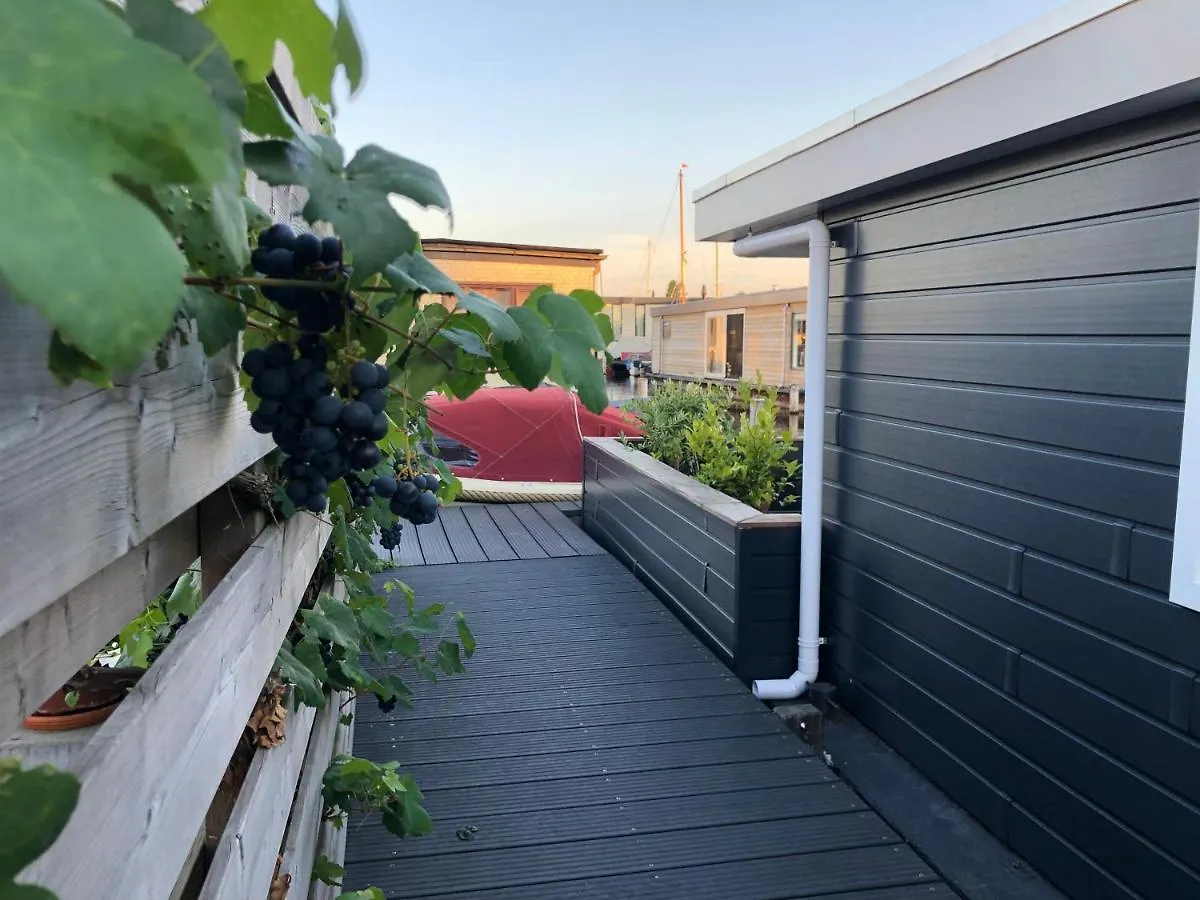 Holiday home Rw-Aalsmeer,Waterloft Near Amsterdam And Schiphol Netherlands