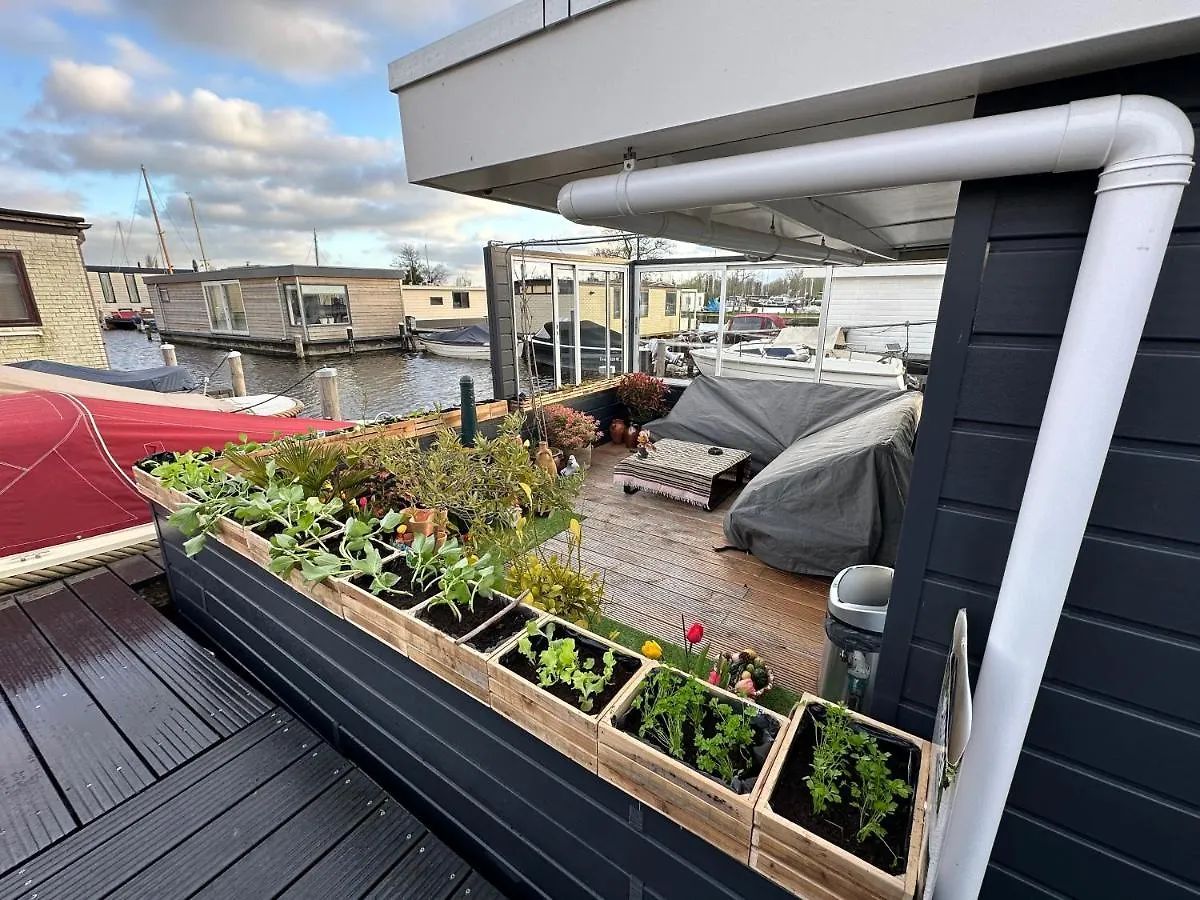 Rw-Aalsmeer,Waterloft Near Amsterdam And Schiphol Holiday home Aalsmeer