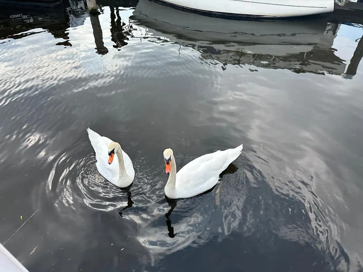 Rw-Aalsmeer,Waterloft Near Amsterdam And Schiphol Holiday home